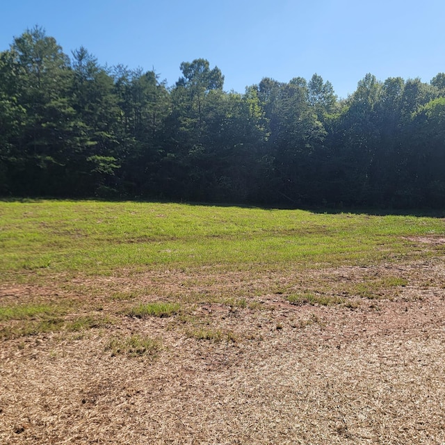 24 Down Creek Rd, Brookneal, VA 24528 - photo 6
