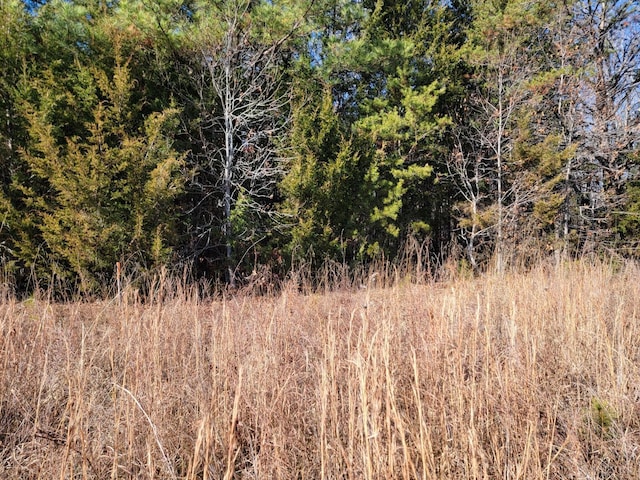 24 Down Creek Rd, Brookneal, VA 24528 - photo 8