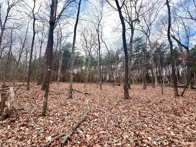 6000 Wards Rd, Rustburg, VA 24588