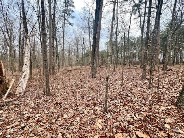 6000 Wards Rd, Rustburg, VA 24588
