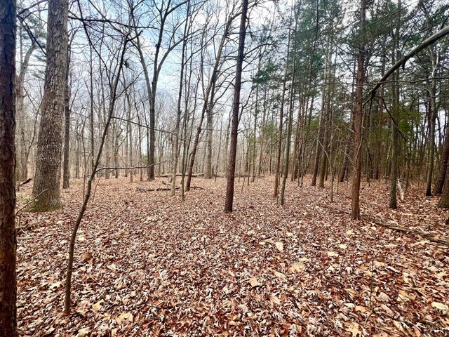 6000 Wards Rd, Rustburg, VA 24588