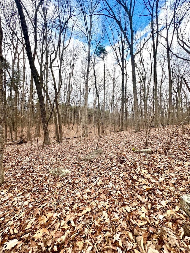 6000 Wards Rd, Rustburg, VA 24588