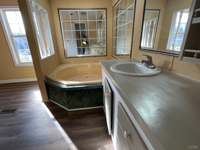bathroom with wood finished floors, plenty of natural light, and vanity