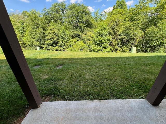188 Mallard Ln, Lynchburg, VA 24502 - view of yard
