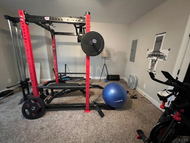 188 Mallard Ln, Lynchburg, VA 24502 - exercise area featuring carpet floors, baseboards, and electric panel
