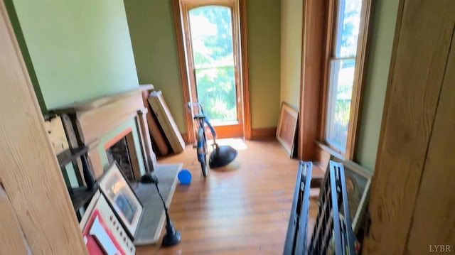 1020 Harrison St, Lynchburg, VA 24504 - workout area featuring wood finished floors