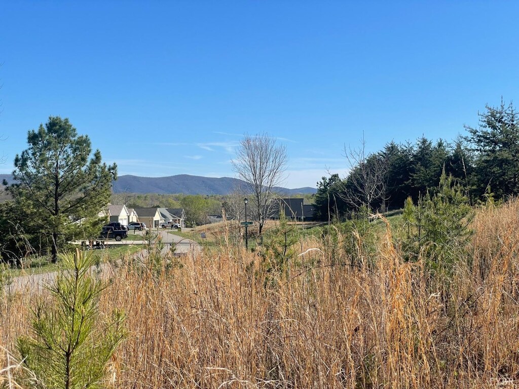 69 Barrows Hill Dr, Huddleston, VA 24104