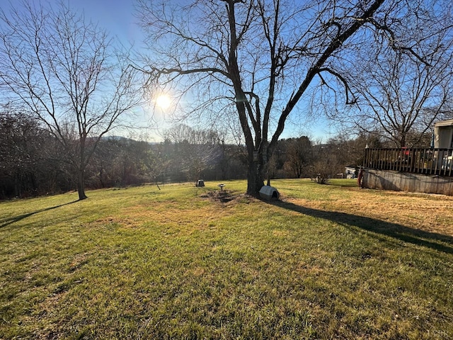 105 Byrnes St, Goodview, VA 24095 - view of yard
