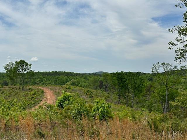 0 Leesville Rd, Lynch Station, VA 24571 - photo 3
