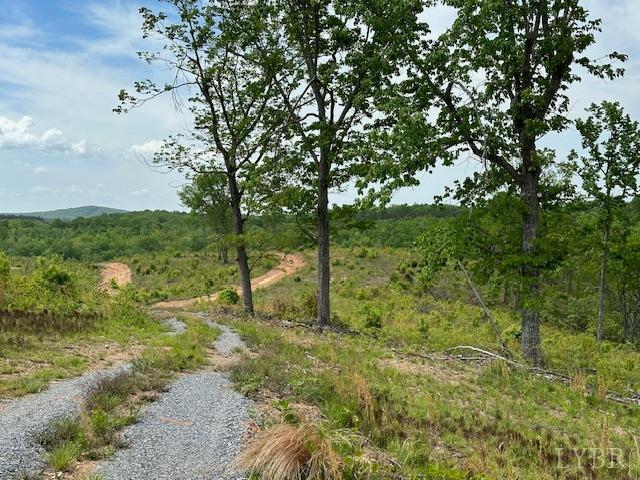 0 Leesville Rd, Lynch Station, VA 24571 - photo 1