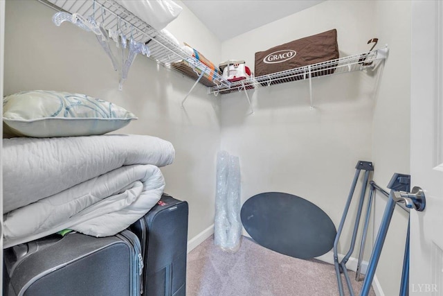 59 Broad St, Daleville, VA 24083 - spacious closet with carpet flooring