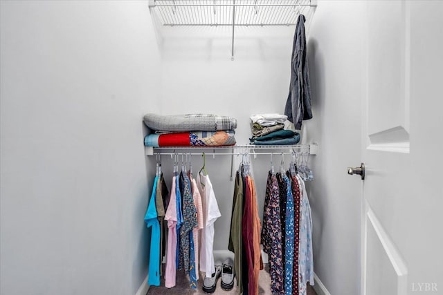 59 Broad St, Daleville, VA 24083 - view of closet