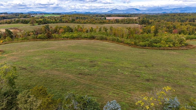 9961 Falling Creek Rd, Huddleston, VA 24104 - photo 12