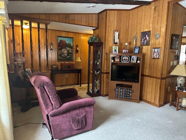 1118 Galax St, Bedford, VA 24523 - living area featuring wood walls, carpet, and beamed ceiling
