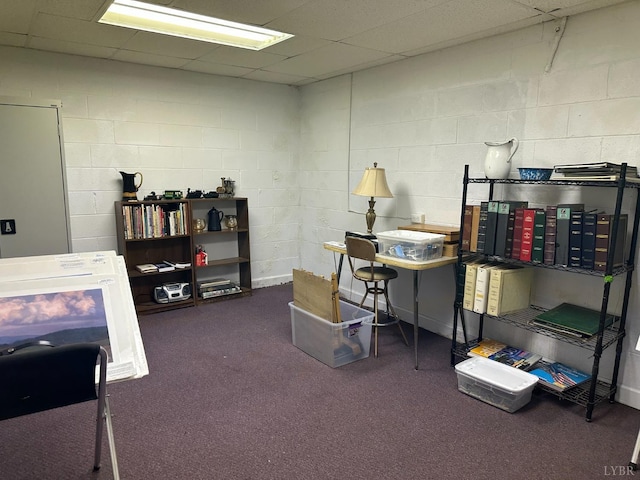 1118 Galax St, Bedford, VA 24523 - office space with carpet, concrete block wall, and a paneled ceiling