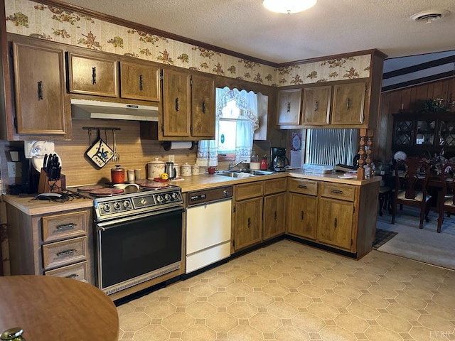 1118 Galax St, Bedford, VA 24523 - kitchen featuring stainless steel electric range oven, white dishwasher, under cabinet range hood, crown molding, and light countertops