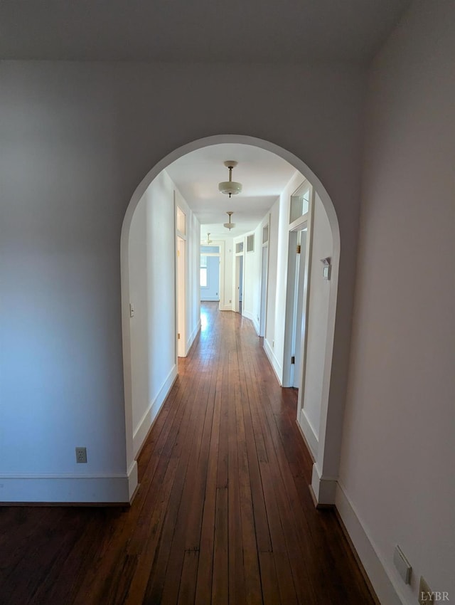 hallway with dark wood-type flooring