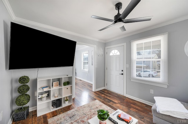 1516 Pierce St, Lynchburg, VA 24501 - entrance foyer featuring crown molding, ceiling fan, dark wood finished floors, and baseboards