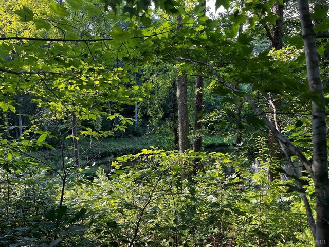 0 Clear Pointe Run, Lynch Station, VA 24571