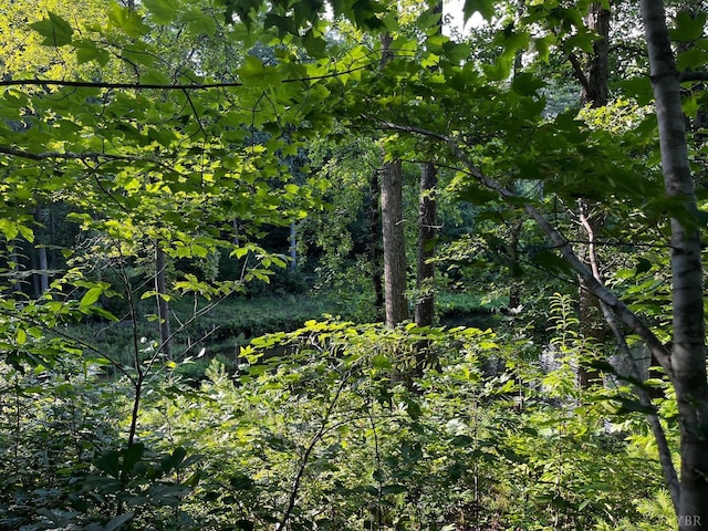 0 Clear Pointe Run, Lynch Station, VA 24571