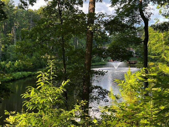 0 Clear Pointe Run, Lynch Station, VA 24571