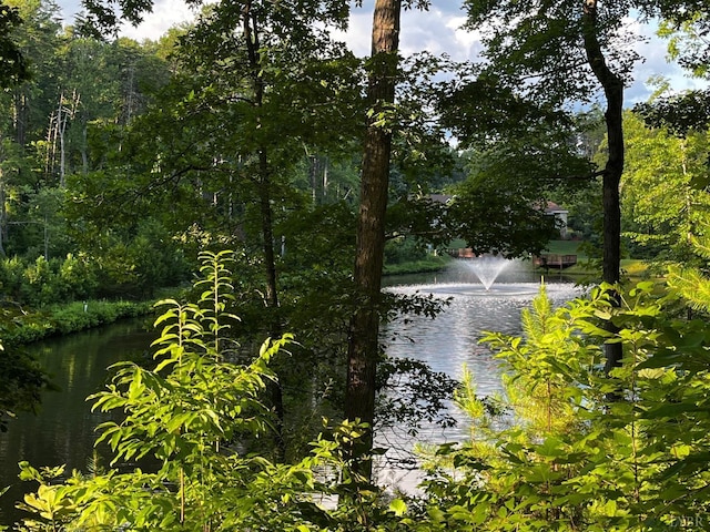 0 Clear Pointe Run, Lynch Station, VA 24571
