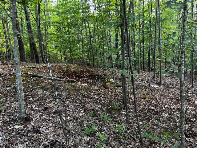 0 Clear Pointe Run, Lynch Station, VA 24571