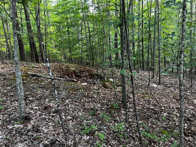 0 Clear Pointe Run, Lynch Station, VA 24571
