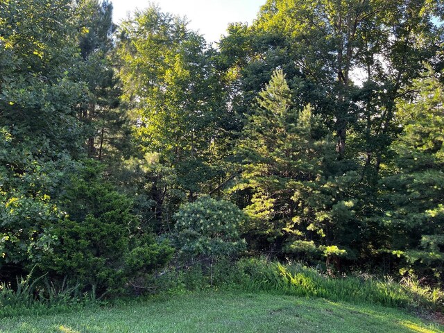 0 Clear Pointe Run, Lynch Station, VA 24571