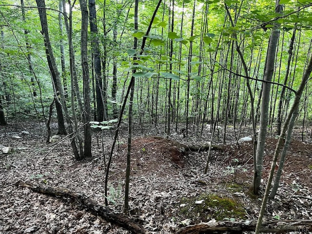 0 Clear Pointe Run, Lynch Station, VA 24571