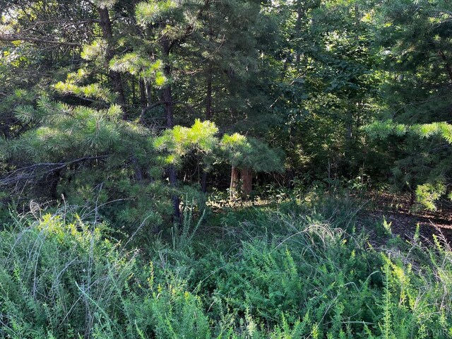0 Clear Pointe Run, Lynch Station, VA 24571