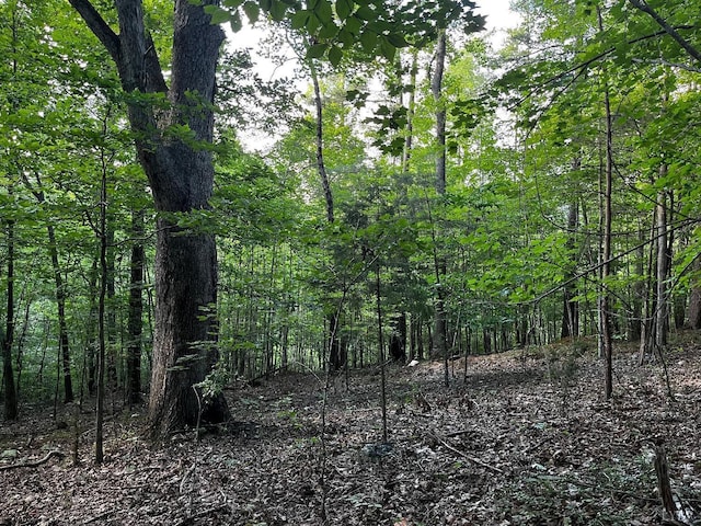 0 Clear Pointe Run, Lynch Station, VA 24571