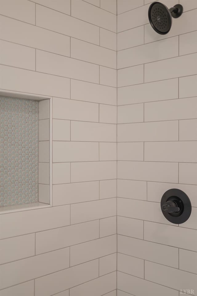 128 Brenleigh Ct Unit 202, Lynchburg, VA 24501 - bathroom view of tiled shower