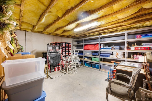 152 Fairwinds Ct, Forest, VA 24551 - view of storage