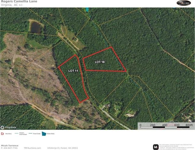 0 Camellia Ln, Hurt, VA 24563