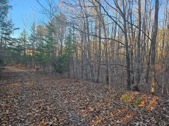 0 Camellia Ln, Hurt, VA 24563