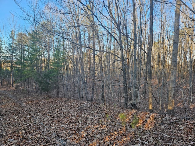 0 Camellia Ln, Hurt, VA 24563 - photo 4