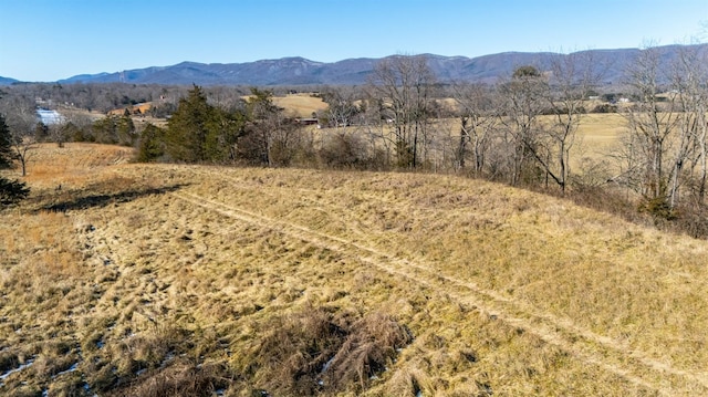1247 Tillman Dr, Montvale, VA 24122