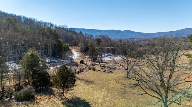 1247 Tillman Dr, Montvale, VA 24122