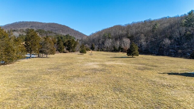 1247 Tillman Dr, Montvale, VA 24122