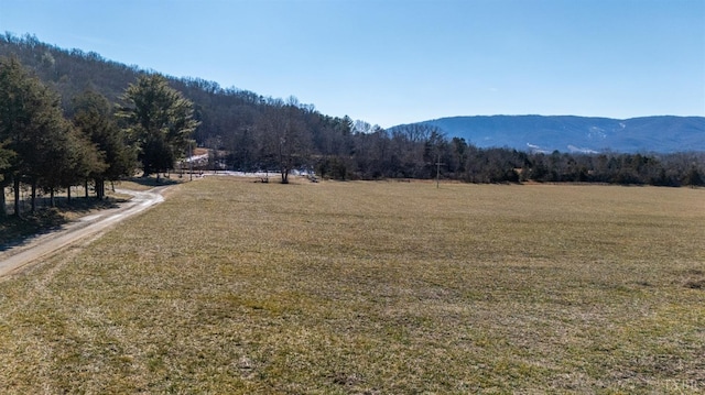 1247 Tillman Dr, Montvale, VA 24122