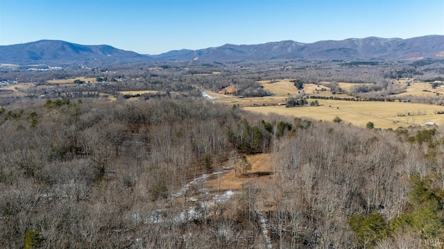 1247 Tillman Dr, Montvale, VA 24122
