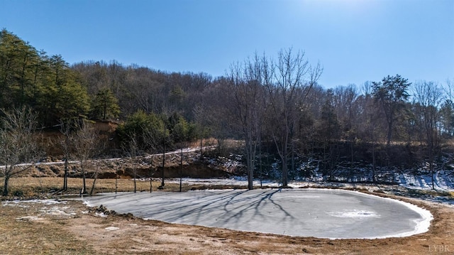 1247 Tillman Dr, Montvale, VA 24122