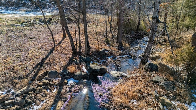 1247 Tillman Dr, Montvale, VA 24122