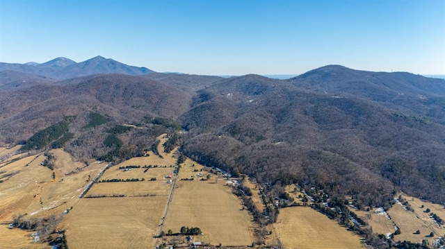 1247 Tillman Dr, Montvale, VA 24122