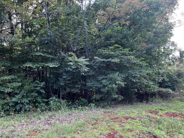 0 Bay View Rd, Lynch Station, VA 24571