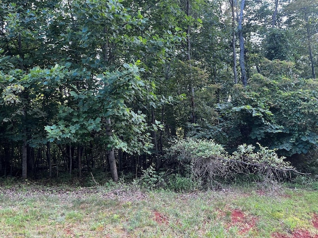 0 Bay View Rd, Lynch Station, VA 24571