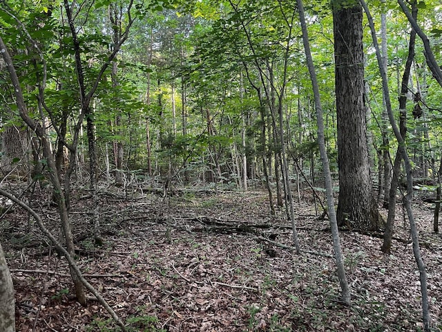 0 Bay View Rd, Lynch Station, VA 24571