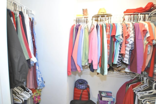 2453 Easome Rd, Hurt, VA 24563 - view of spacious closet