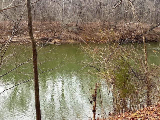 2453 Easome Rd, Hurt, VA 24563 - water view